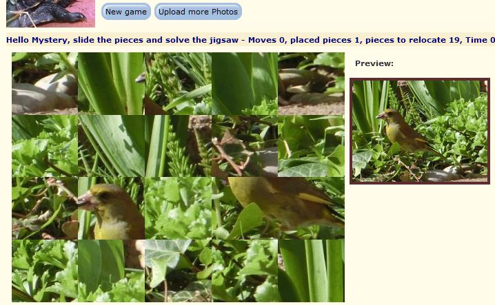 Jigsaw game with a greenfinch