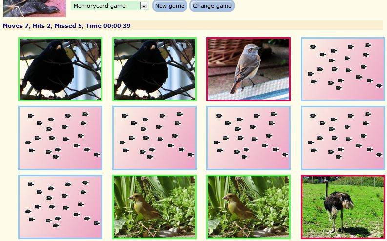 Memory game with bird pictures