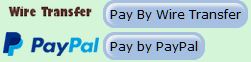 Screenshot of selecting a payment option