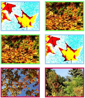 Colourful autumn pictures with maple trees in landscape format